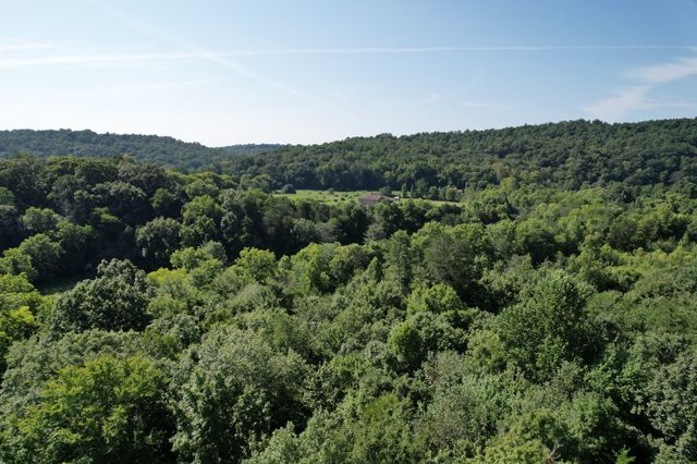 0 Carr Branch Lane, Bethpage, TN 37022