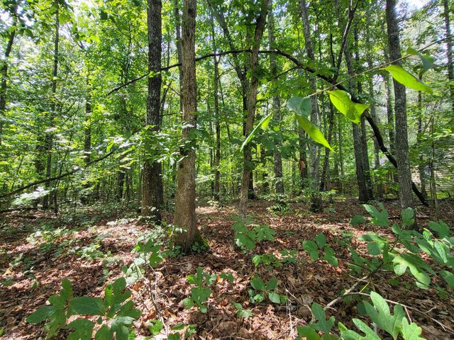 0 Carr Branch Lane, Bethpage, TN 37022