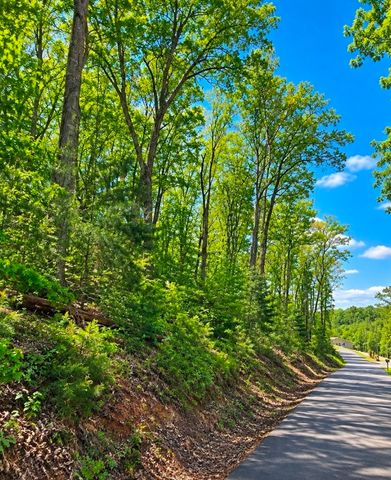0 Carr Branch Lane, Bethpage, TN 37022