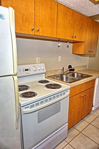 20853 HAULOVER COVE A13, Lutz, FL 33558