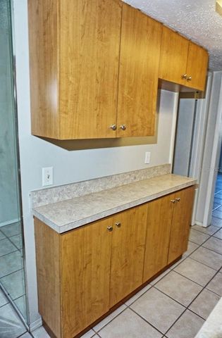 20853 HAULOVER COVE A13, Lutz, FL 33558