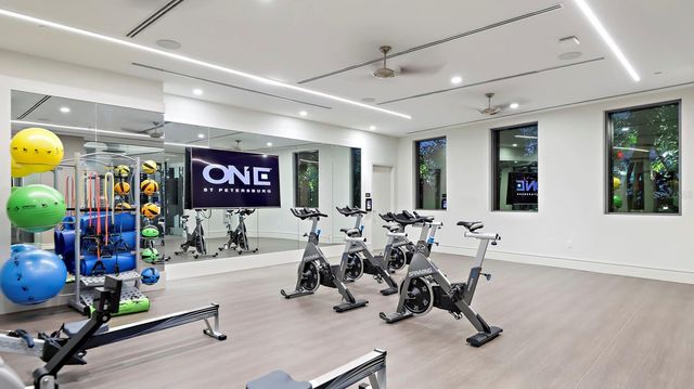 100 1ST AVENUE N 802, St Petersburg, FL 33701