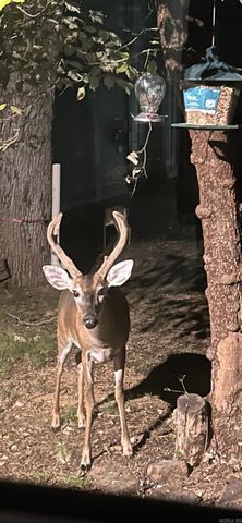 4029 Moss Road, Benton, AR 72019