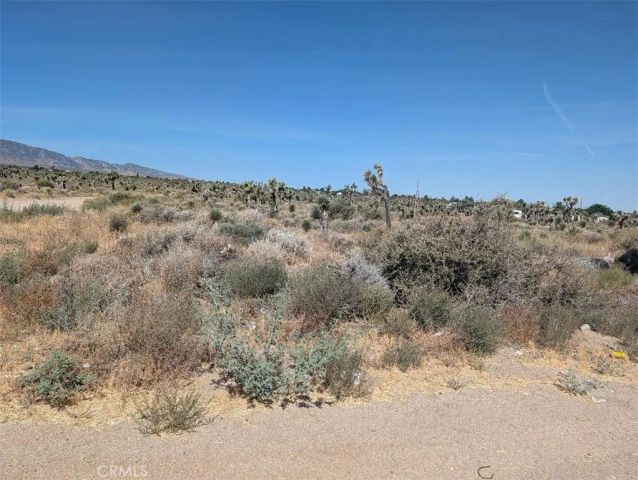 12 Sheep Creek, Phelan, CA 92371