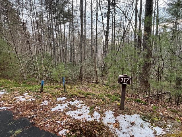 Lot 117 Huckleberry Ridge Lane, Zirconia, NC 28790