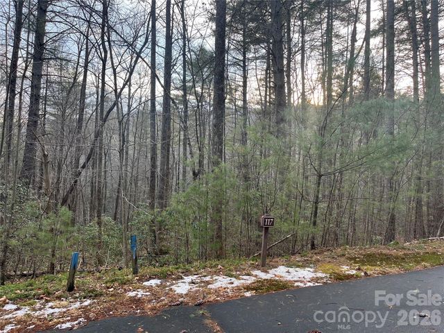 Lot 117 Huckleberry Ridge Lane, Zirconia, NC 28790