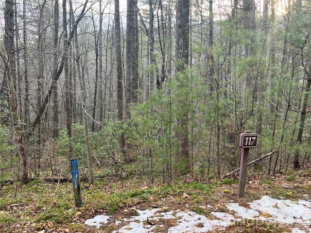 Lot 117 Huckleberry Ridge Lane, Zirconia, NC 28790