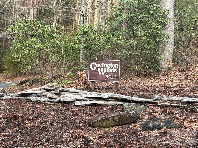 Lot 117 Huckleberry Ridge Lane, Zirconia, NC 28790