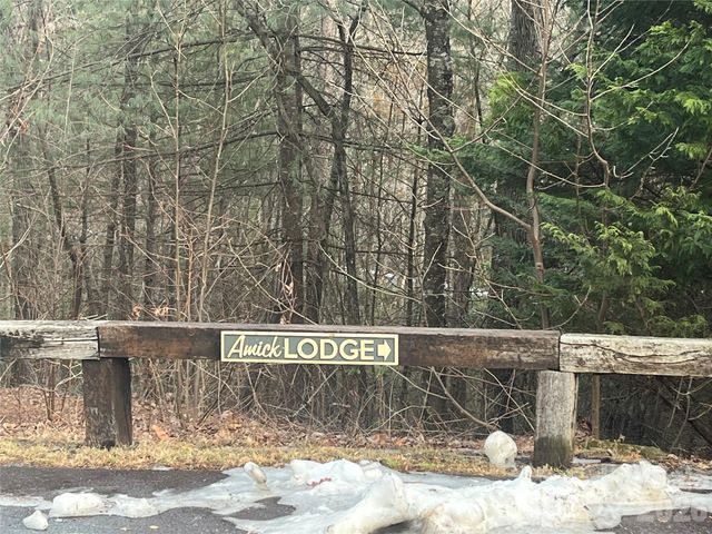 Lot 117 Huckleberry Ridge Lane, Zirconia, NC 28790