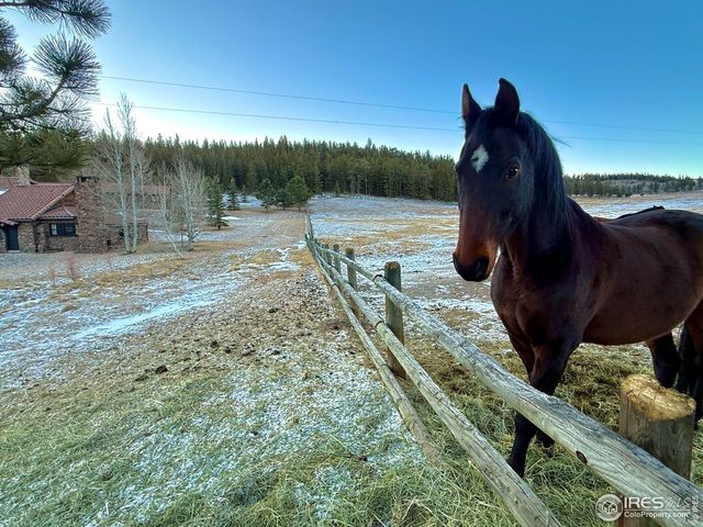 9200 Old Flowers Rd, Bellvue, CO 80512