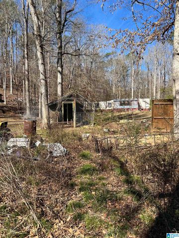 132 SLOUGHSIDE DRIVE, Adger, AL 35006