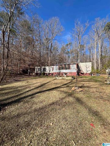 132 SLOUGHSIDE DRIVE, Adger, AL 35006