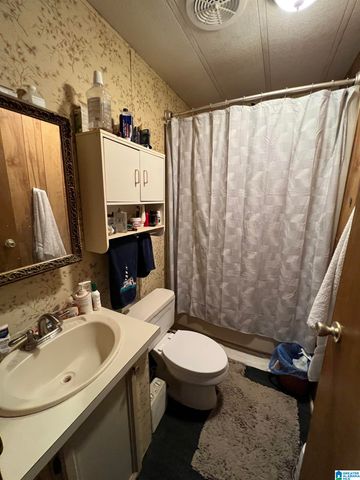 132 SLOUGHSIDE DRIVE, Adger, AL 35006