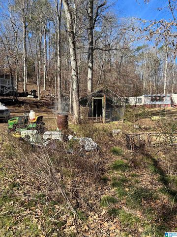 132 SLOUGHSIDE DRIVE, Adger, AL 35006