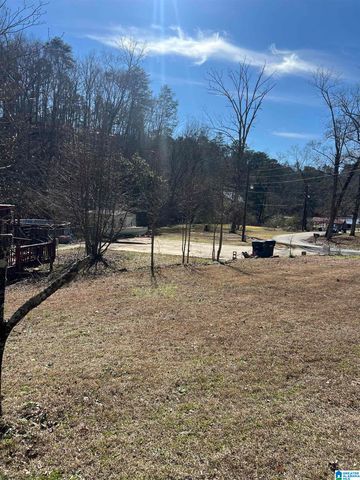 132 SLOUGHSIDE DRIVE, Adger, AL 35006