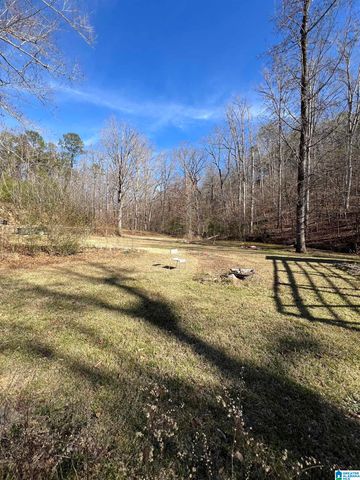 132 SLOUGHSIDE DRIVE, Adger, AL 35006