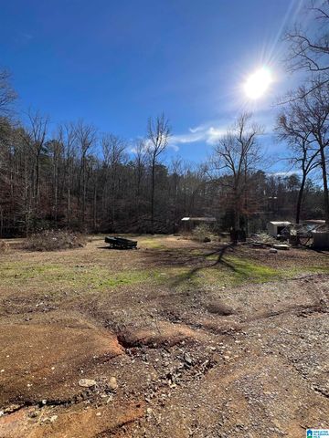 132 SLOUGHSIDE DRIVE, Adger, AL 35006