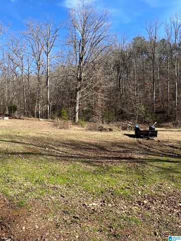 132 SLOUGHSIDE DRIVE, Adger, AL 35006