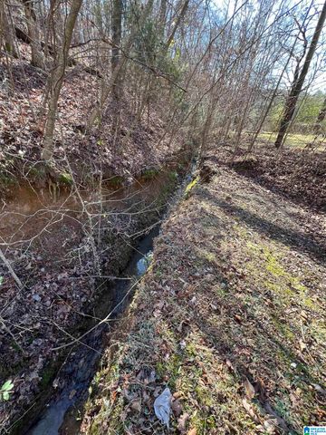 132 SLOUGHSIDE DRIVE, Adger, AL 35006