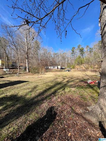 132 SLOUGHSIDE DRIVE, Adger, AL 35006