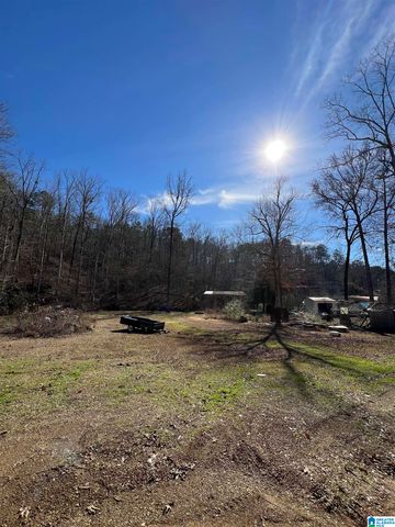 132 SLOUGHSIDE DRIVE, Adger, AL 35006