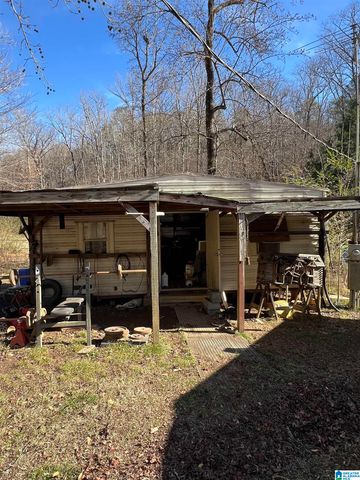 132 SLOUGHSIDE DRIVE, Adger, AL 35006