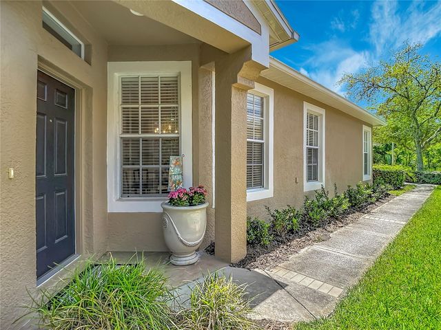 19180 LAKE AUDUBON DRIVE, Tampa, FL 33647