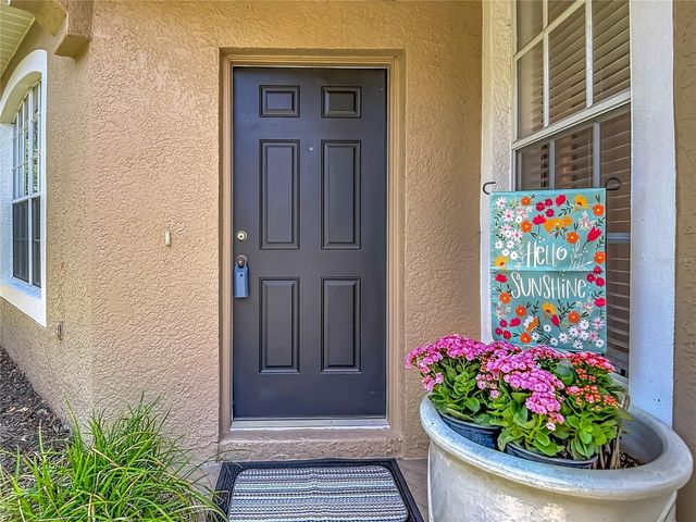 19180 LAKE AUDUBON DRIVE, Tampa, FL 33647