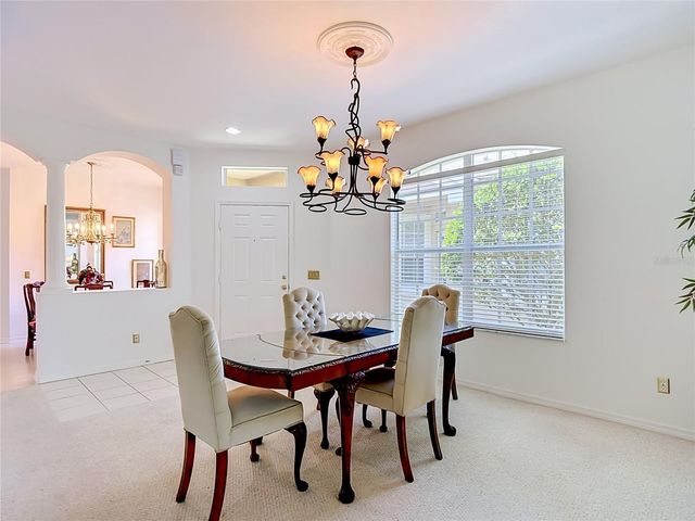 19180 LAKE AUDUBON DRIVE, Tampa, FL 33647