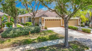 19180 LAKE AUDUBON DRIVE, Tampa, FL 33647
