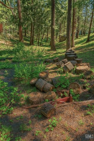 10520 Spruce Drive, Wofford Heights, CA 93285