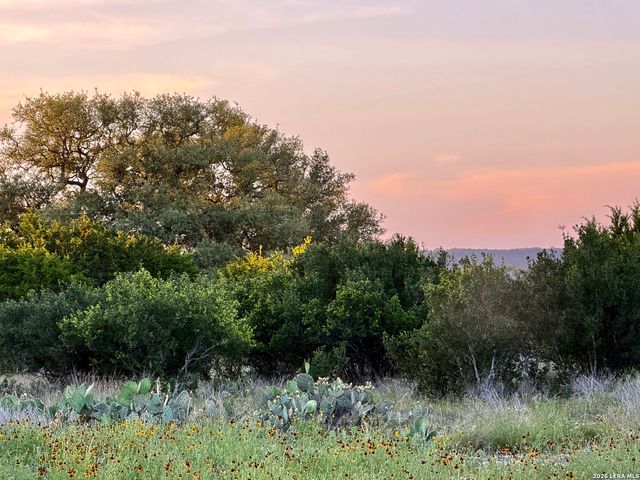 TBD Melodia, Boerne, TX 78006