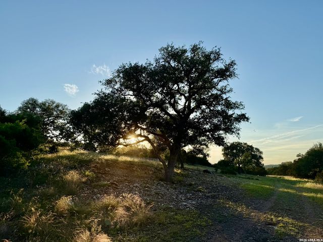 TBD Melodia, Boerne, TX 78006