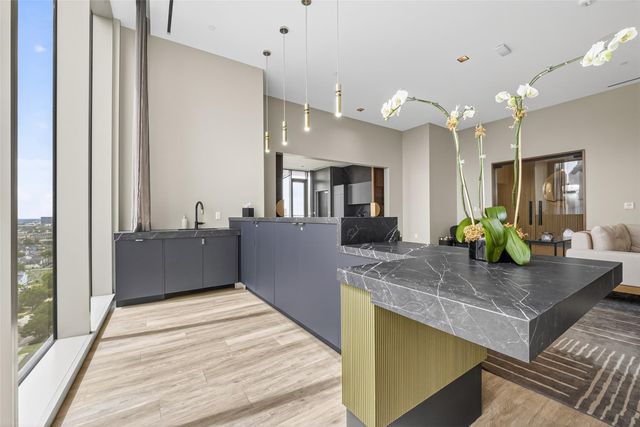 1711 Allen Parkway 1703, Houston, TX 77019