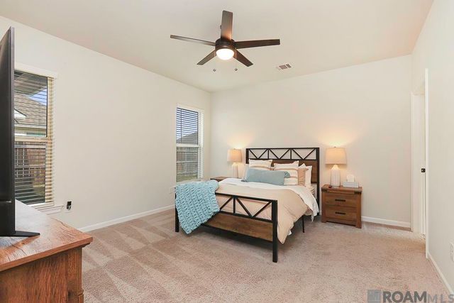 9715 Magical Ln, Denham Springs, LA 70726