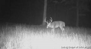 In-60, Borden, IN 47106