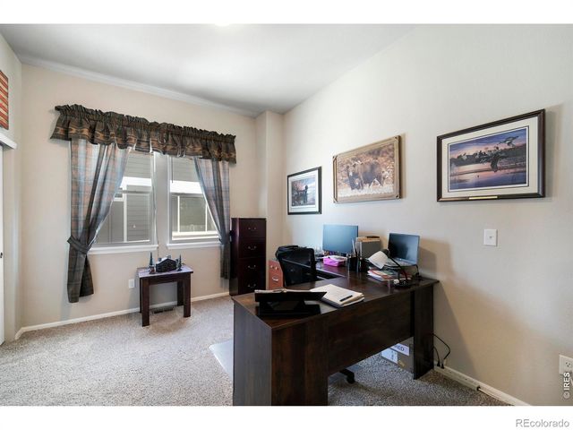 1210 Muskox Street, Severance, CO 80550