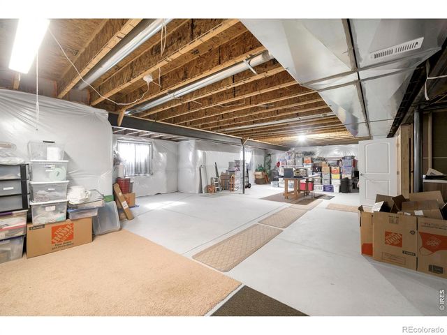 1210 Muskox Street, Severance, CO 80550