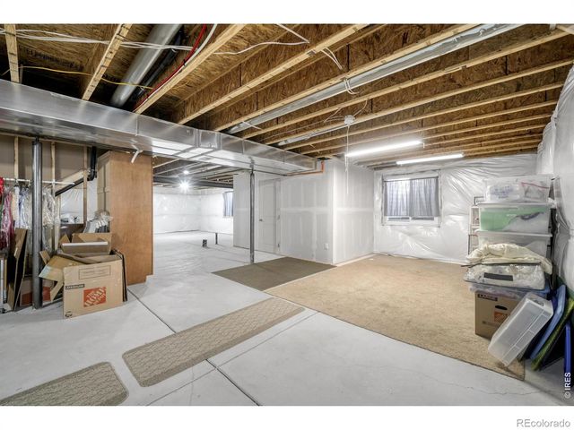 1210 Muskox Street, Severance, CO 80550