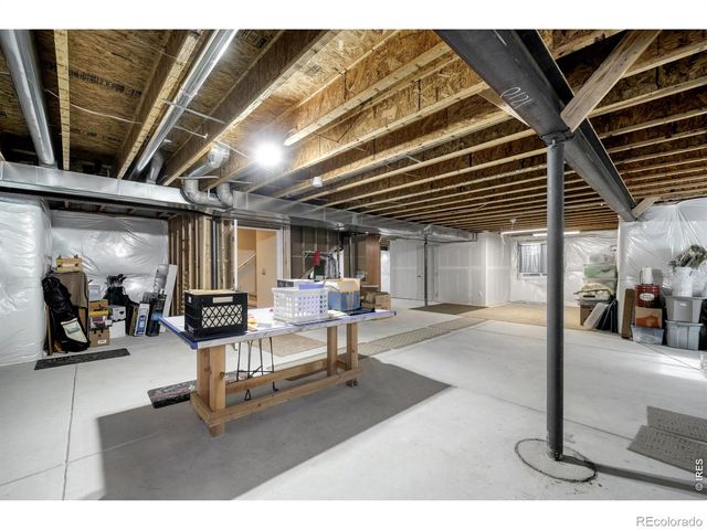 1210 Muskox Street, Severance, CO 80550