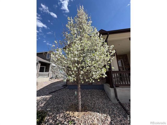 1210 Muskox Street, Severance, CO 80550