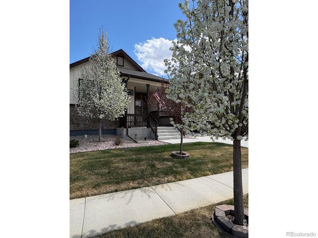 1210 Muskox Street, Severance, CO 80550