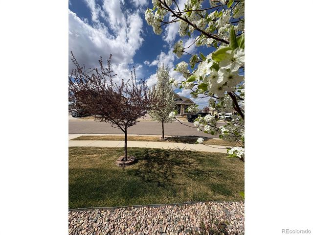 1210 Muskox Street, Severance, CO 80550