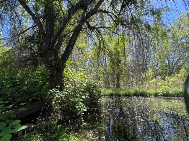2970 Elk Lane, Grants Pass, OR 97527