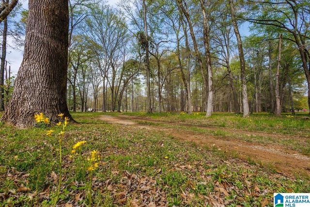 960 RIVER RUN ROAD, Childersburg, AL 35044