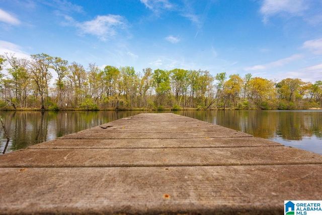 960 RIVER RUN ROAD, Childersburg, AL 35044