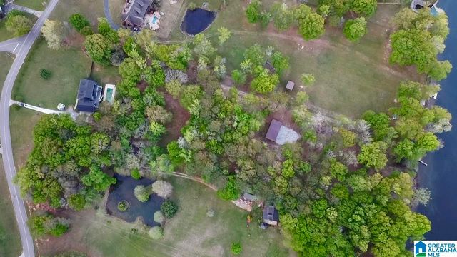 960 RIVER RUN ROAD, Childersburg, AL 35044