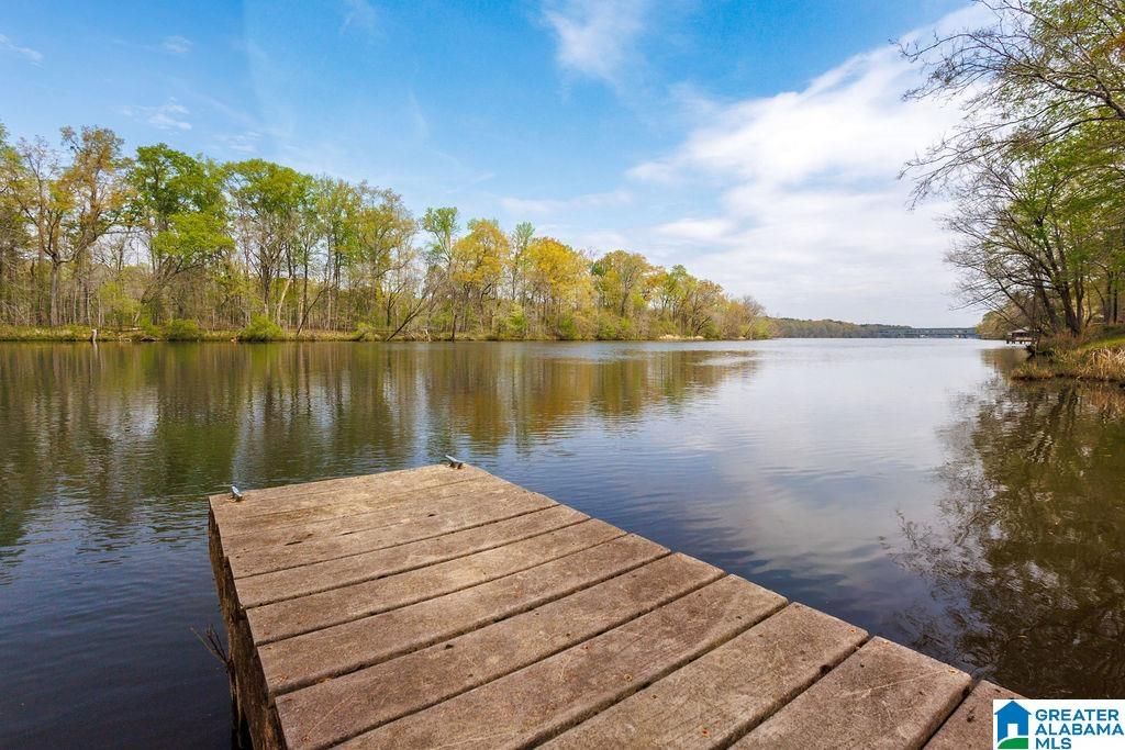 960 RIVER RUN ROAD, Childersburg, AL 35044