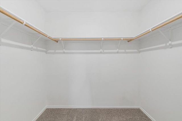 239 Twilight Breeze WAY, Hutto, TX 78634