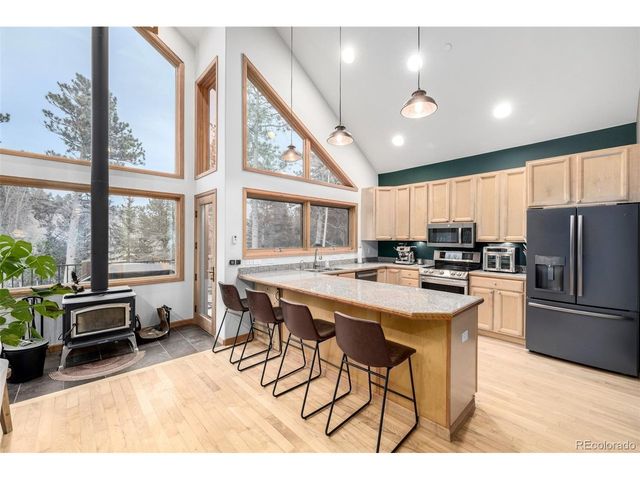 317 Ridge Rd, Ward, CO 80481